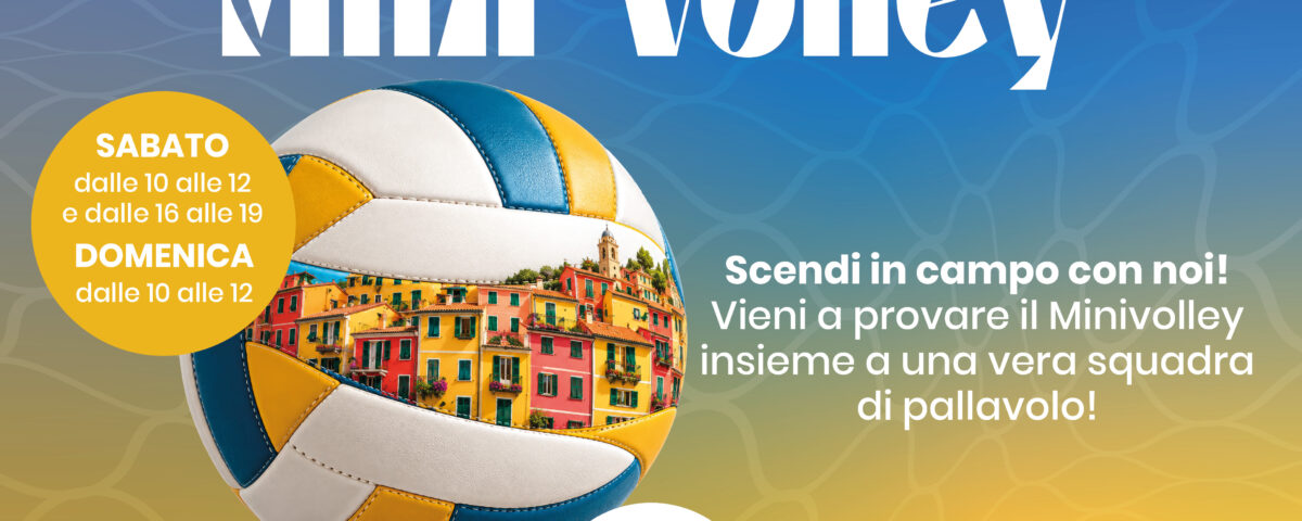 mini volley